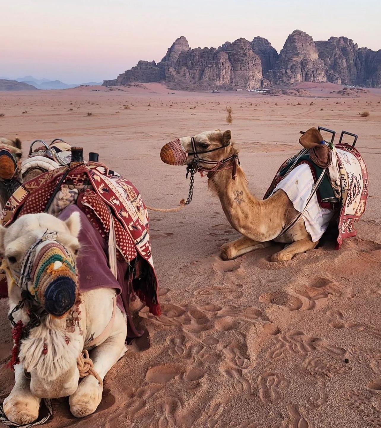 Lawrence Camp * Wadi Rum